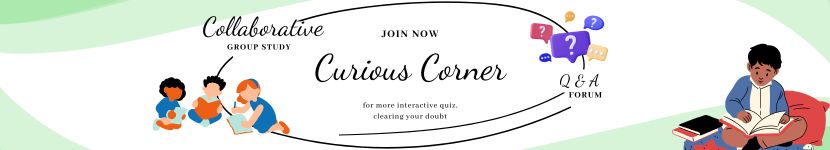 curious-corner